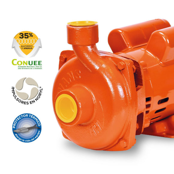 Motobomba Residencial Domestica de 2 HP EVANS